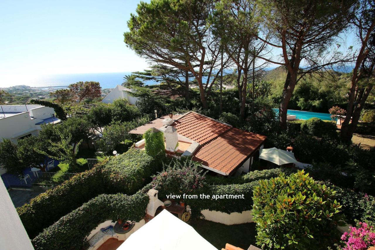 Lacco Terrace Solarium Lacco Ameno  ภายนอก รูปภาพ